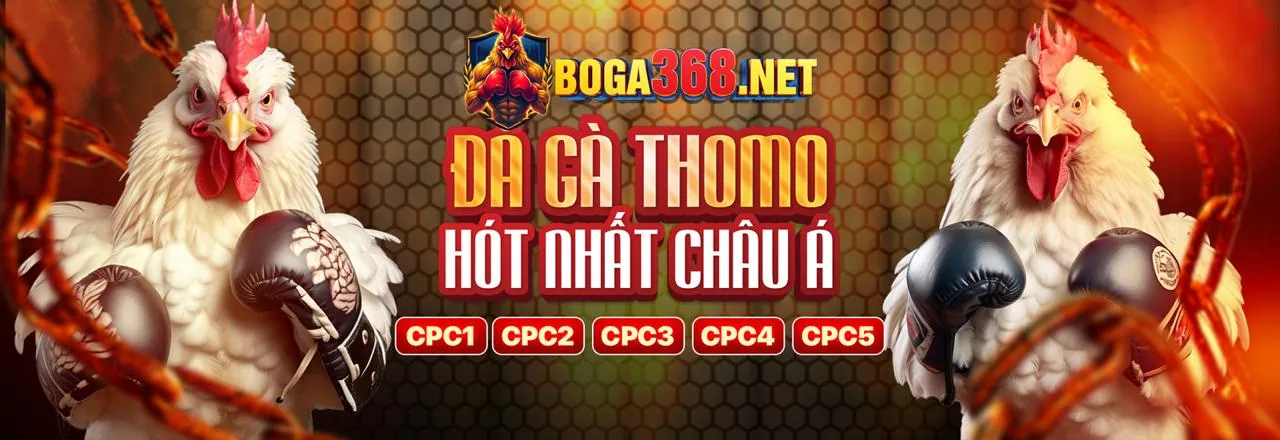 Đá gà trực tuyến 89bet4